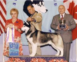 JR - BISS at Seneca Siberian Husky Club - Batavia NY, May 2006
