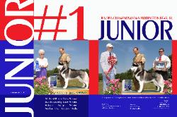 Canine Chronicle Ad - July 2006