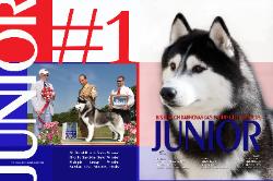 Working Dog Digest Summer 2006